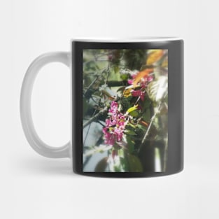 red Malus 'Radiant' crab apple blossoms #12 Mug